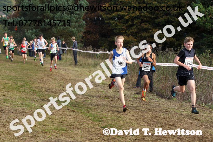 Boys under-13s, National Cross Country Relays, Berry Park, Mansfield. Photo: David T. Hewitson/Sports for All Pics